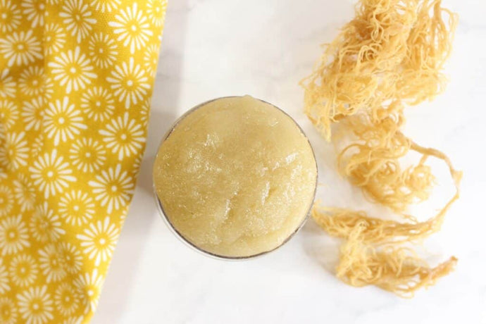 Sea Moss Face & Body Scrub Recipe