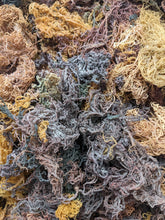 Load image into Gallery viewer, Wholesale Dried Sea Moss
